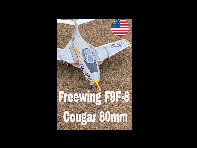 Why the Freewing Cougar 80mm Edf Jet is a Game-Changer