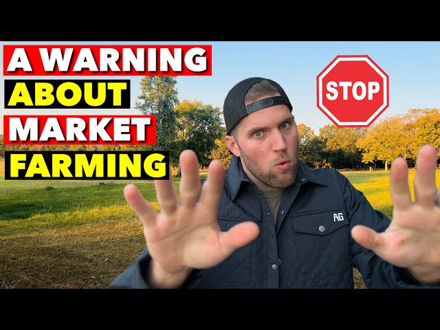 ⚠️ MY FINAL WARNING TO ASPIRING MARKET FARMERS