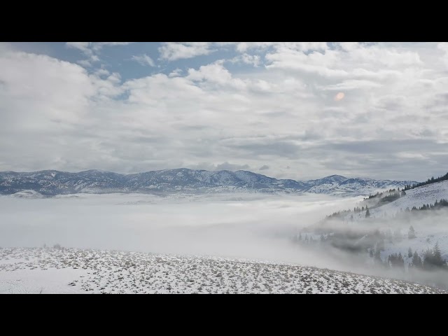 Peaceful fog timelapse