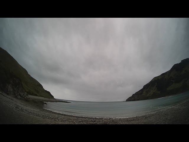 Driving from Nelson City to Cable Bay | New Zealand | 4K