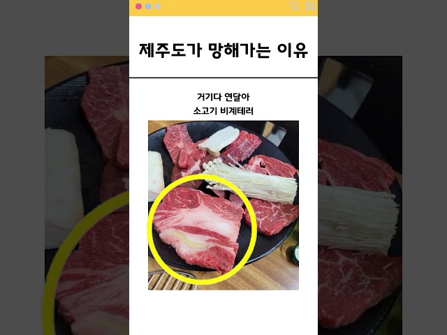 제주도가 망해가는 이유