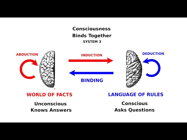 Learning Consciously: Deduction, Induction, Abduction (Sociology)