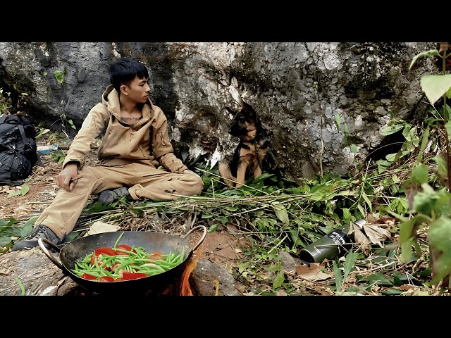 Cooking in the Forest with My Loyal Dog