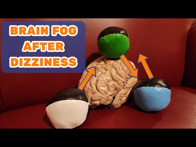 CONCEPT: Brain Fog after Dizziness, Imbalance, and Vertigo - Dizzy Therapy