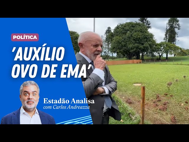 Carlos Andreazza: "Teremos um auxílio ovo de ema?" | Estadão Analisa