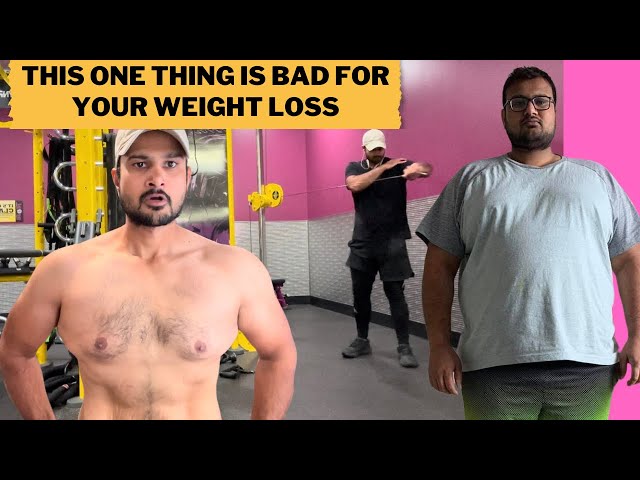 Easy Weight Loss: Burn Fat for Energy – Christmas Special Diet!