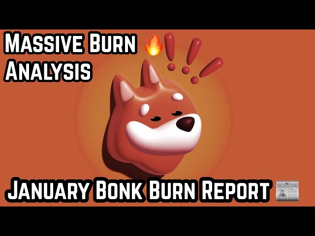 Bonk Coin's Janaury Burn Report