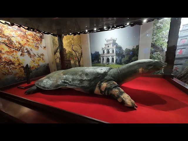 Hanoi [河内] 05 - Hoan Kiem Lake(還劍湖) has a legendary tale about a divine turtle and the magical sword