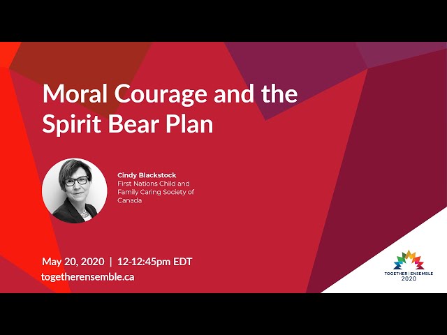 Moral Courage & the Spirit Bear Plan