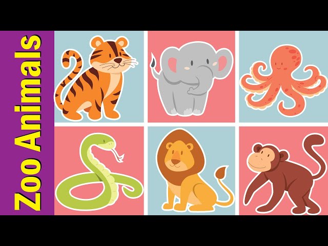 Zoo Animals Vocabulary Chant for Children | Fun Kids English