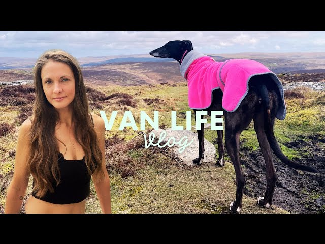 Life with a Greyhound 🐕 Solo Female Van Life Devon