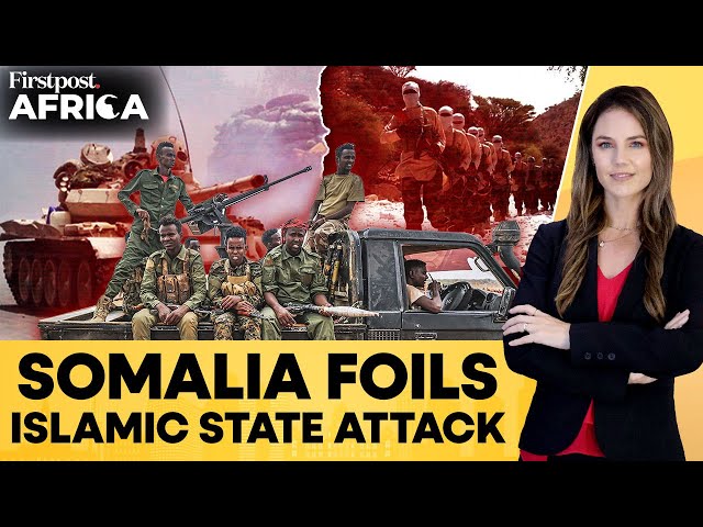 Somalia: Regional Security Forces Repulse IS Attack, Kill 8 Foreign Terrorists | Firstpost Africa