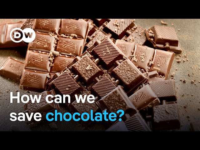 Two Swiss businessmen rethink chocolate production