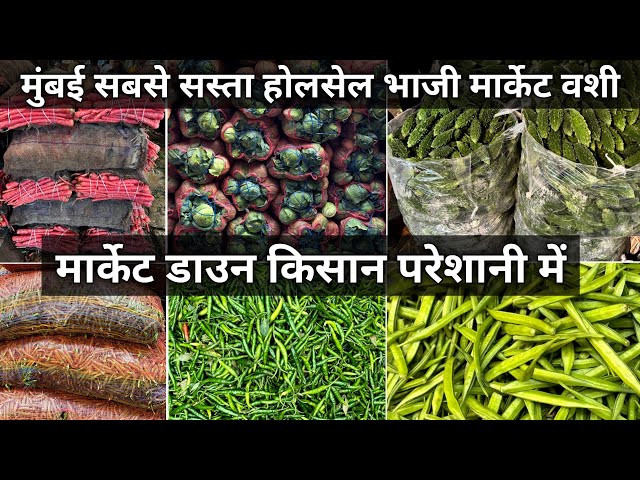 Vashi Apmc Bhaji Market | Vashi Bhaji Market | Vashi Apmc Market | Mumbai Wholesale Bhaji Market