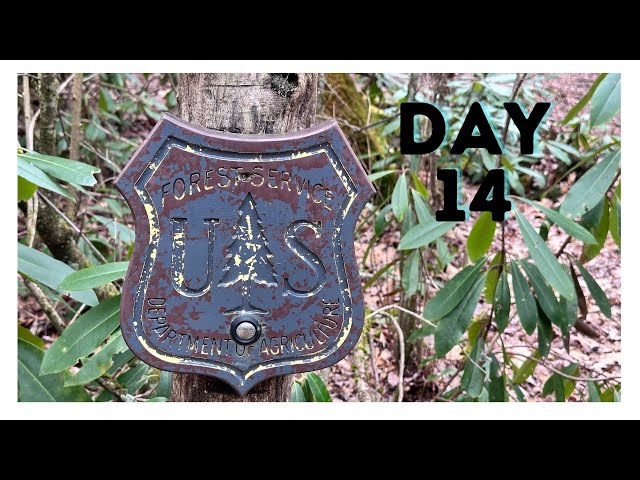 Day 14 - Standing Indian Shelter to Betty Creek Gap - Appalachian Trail Thruhike 2024 Attempt