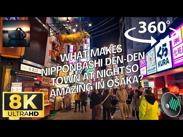 Japan, Osaka, Nipponbashi Den-Den Town at Night - Part 2/2 - Best Apple/Quest 3 Travel VR Experience