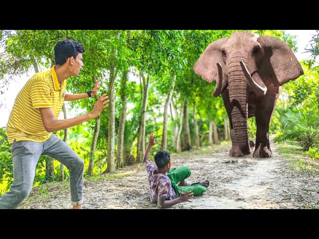 Elephant Attack On Cycling Boy In Forest Road | Elephant Attack On Village Two Boy | Part 45