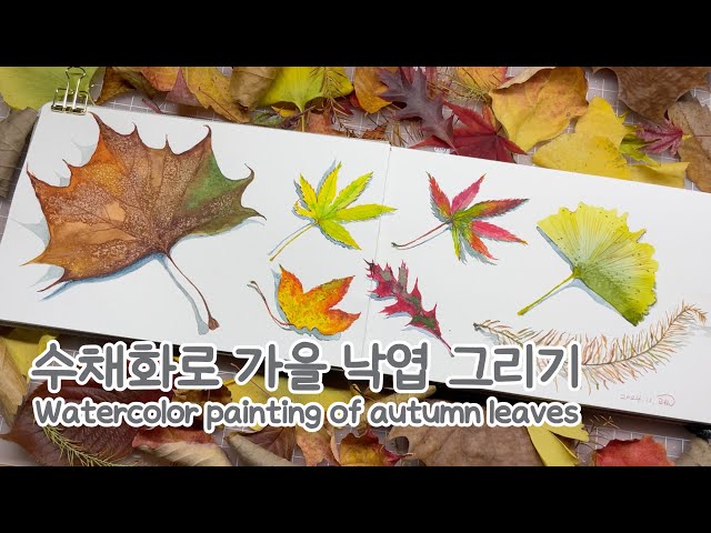 수채화로 가을 낙엽 그리기 🍁🍂 Watercolor painting of autumn leaves