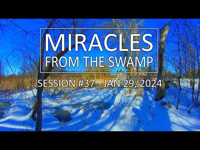 Miracles From The Swamp : Session #37 - January 29, 2024 at 1:13 PM | Virtual Reality / VR180