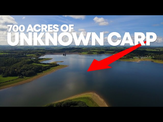 Carp Fishing a 700-acre lake in the UK for UNKNOWN FISH! + How To Prepare Particles | Mainline Baits