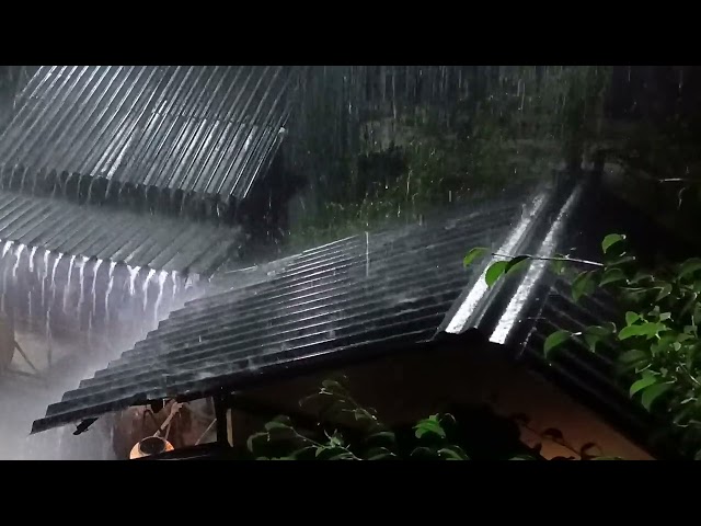 Heavy Rain on Tin Roof with Thunderstorm for Deep Relaxation