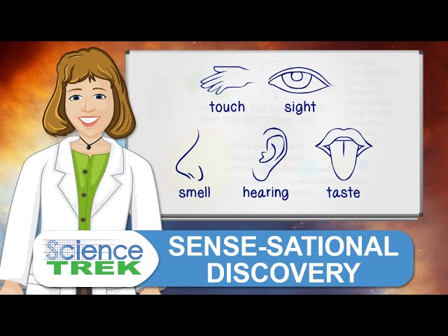 The Five Senses: Sense-sational Discovery | Science Trek