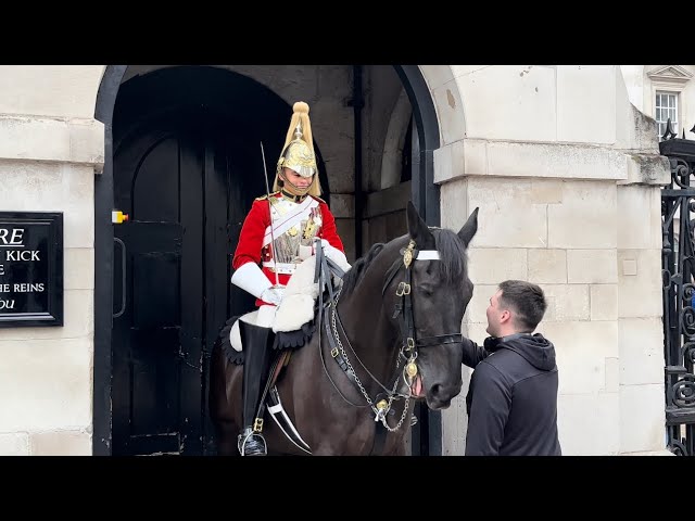 The Horse Recognised Him!