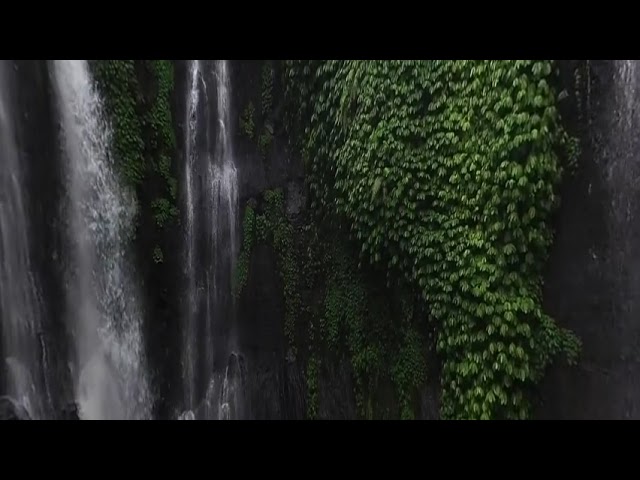 Amazing forest ang water fall ever and ever...