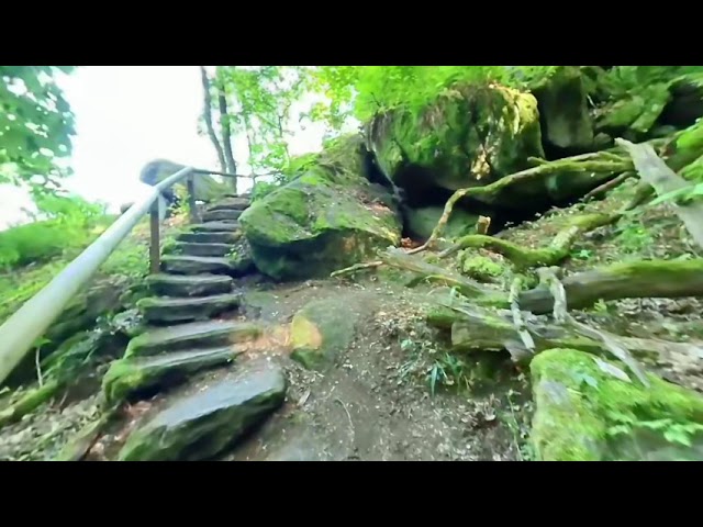 [VR 180 3D] Wanderweg durch Schlosspark zu Burg Falkenstein Bayern Bavaria