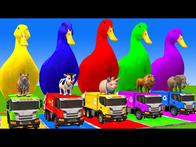 5 Giant Duck Cartoon,Cow,Elephant,Tiger,Lion,Dinosaur,Paint Wild Animals Crossing Fountain part 18