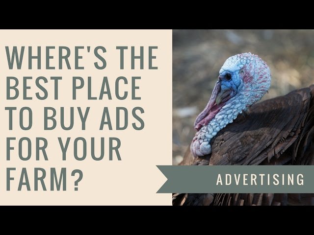 Where's the Best Place to Buy Ads for your Farm Business?