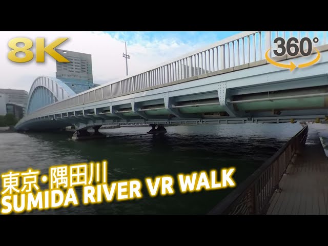 Walking in Tokyo along Sumida River [8K VR 360° video, ASMR audio]