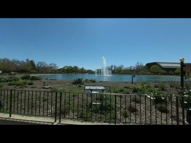 VR Nature Walk at the Zoo - Entering the Zoo in Virtual Reality