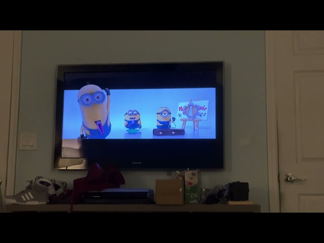 Despicable Me 2 The Minion Movie Auditions DVS Descriptive Video Service