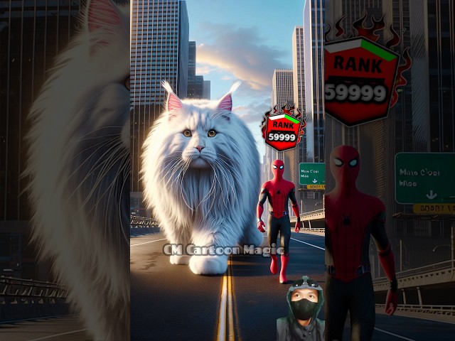 Maine Coon Cat Grows Giant | Rank Up | Spider-Man vs Hulk vs Captain America #spiderman #marvel #dc