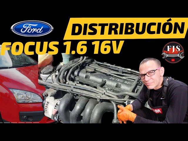 "Don't be scared! TIMING BELT CHANGE  FORD Focus, Mondeo, Fusion, Sigma, 1.6 16V Gasoline