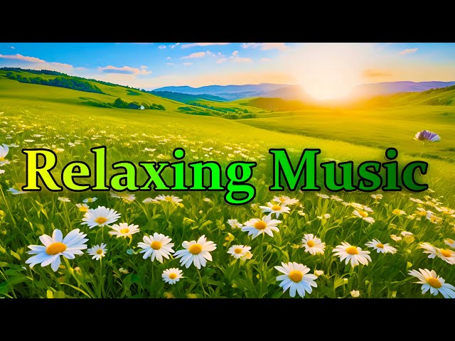 Relaxing Music with Piano, Meditation, Stress Relief & Sleep Music: 4K ULTRA HD