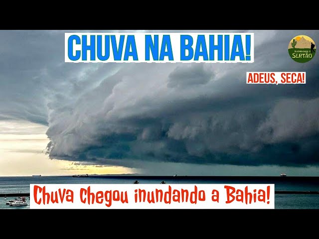 Chuvas Fortes na Bahia: O que era seco, agora está alagado! ep176