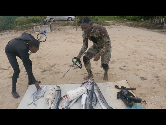 spearfishing with odane | intro