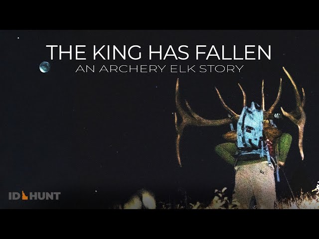 The King has Fallen | 4K | An Archery Elk Film | GIANT BULL