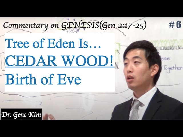 Tree of Eden Is...CEDAR WOOD! Birth of Eve (Genesis 2:17-25) | Dr. Gene Kim