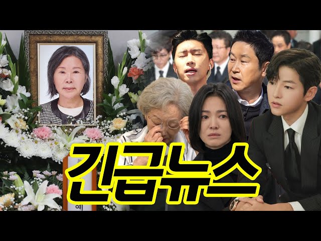 SBS,KBS,MBN,YTN 배우 이주실 애도장례식 생중계 김영옥, 송혜교, 송중기, 임영웅, 신동엽이 등장했다. 연예인이 왜 이렇게 많아?! 모두 관을 안고 울었다!