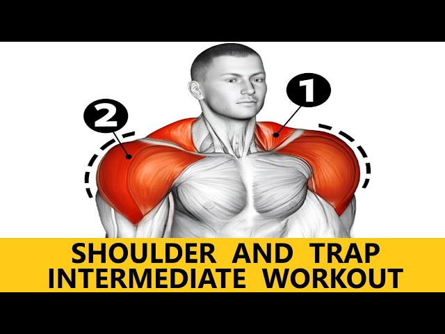 SHOULDER AND TRAP WORKOUT  INTERMEDIATE WORKOUT  MUSCLE BUILDING WORKOUT