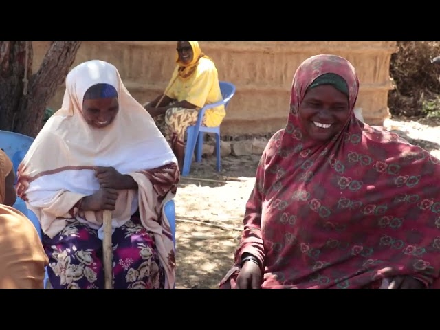 Reimagining the Future of Pastoralism in Somalia: A Bold New Horizon for Resilience