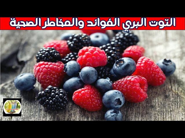 التوت البري الفوائد والمخاطر الصحية         #التوت_البرى_الفوائد_والمخاطر_الصحية