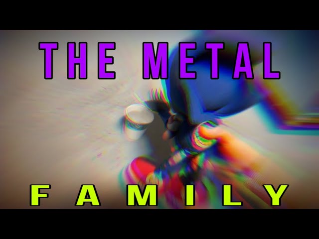 Sonic Companions: THE METAL FAMILY 🤖🥚 (Special)