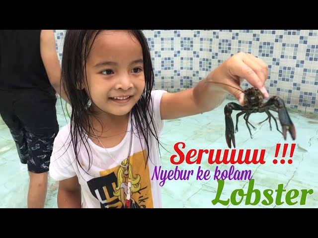 Serunya Nyebur ke Kolam Lobster | Zara Menangkap Lobster dan Ikan | Melatih Keberanian Anak