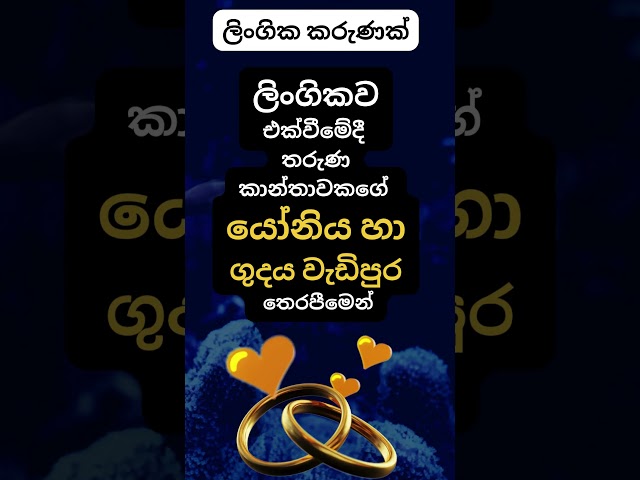 හම්බෝ කරාට දන්නෑ නේ 😍. #psychology  #education #shorts #facts