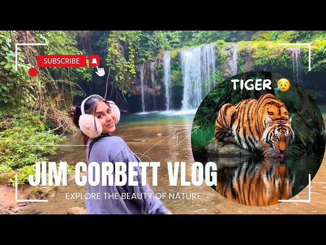 Tiger Ne Attack Kar Dia Jim Corbett National Park | Adventures Trekking,Hanumanji | Deepshikha Vlogs