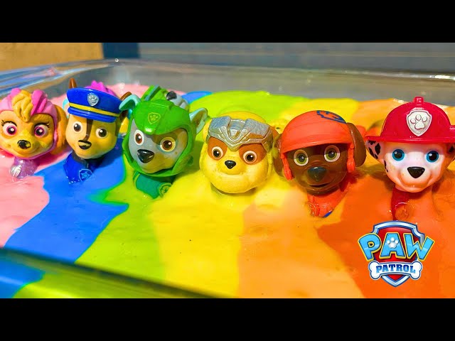 Paw Patrol Stuck in Slime! Can You Help Us Clean Them?